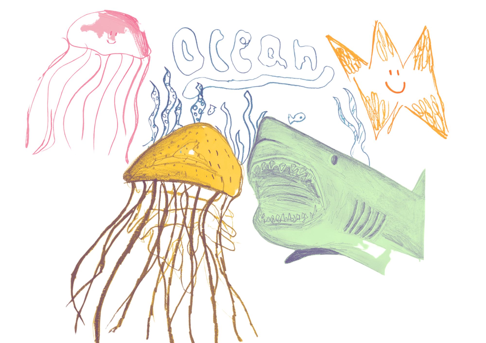 Festival for the Ocean